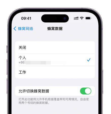 长征镇苹果维修服务分享如何在iPhone上使用双卡 